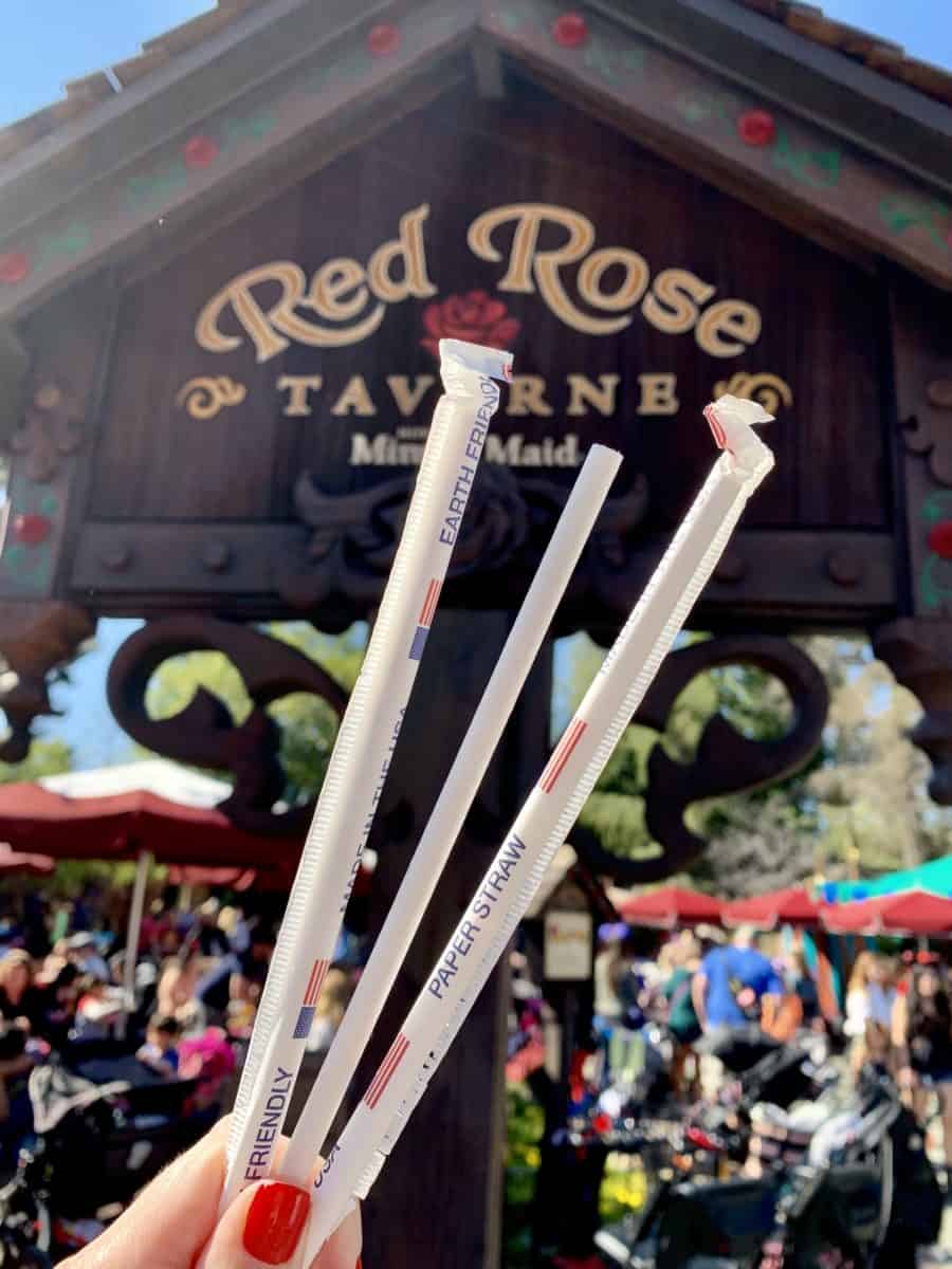 Disneyland Resort Photo Report