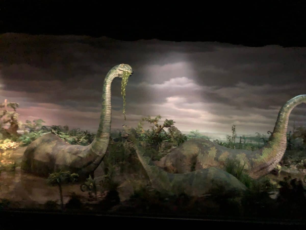 PHOTO REPORT Disneyland Park Steamboat Willie Popcorn Bucket Castle Construction Characters