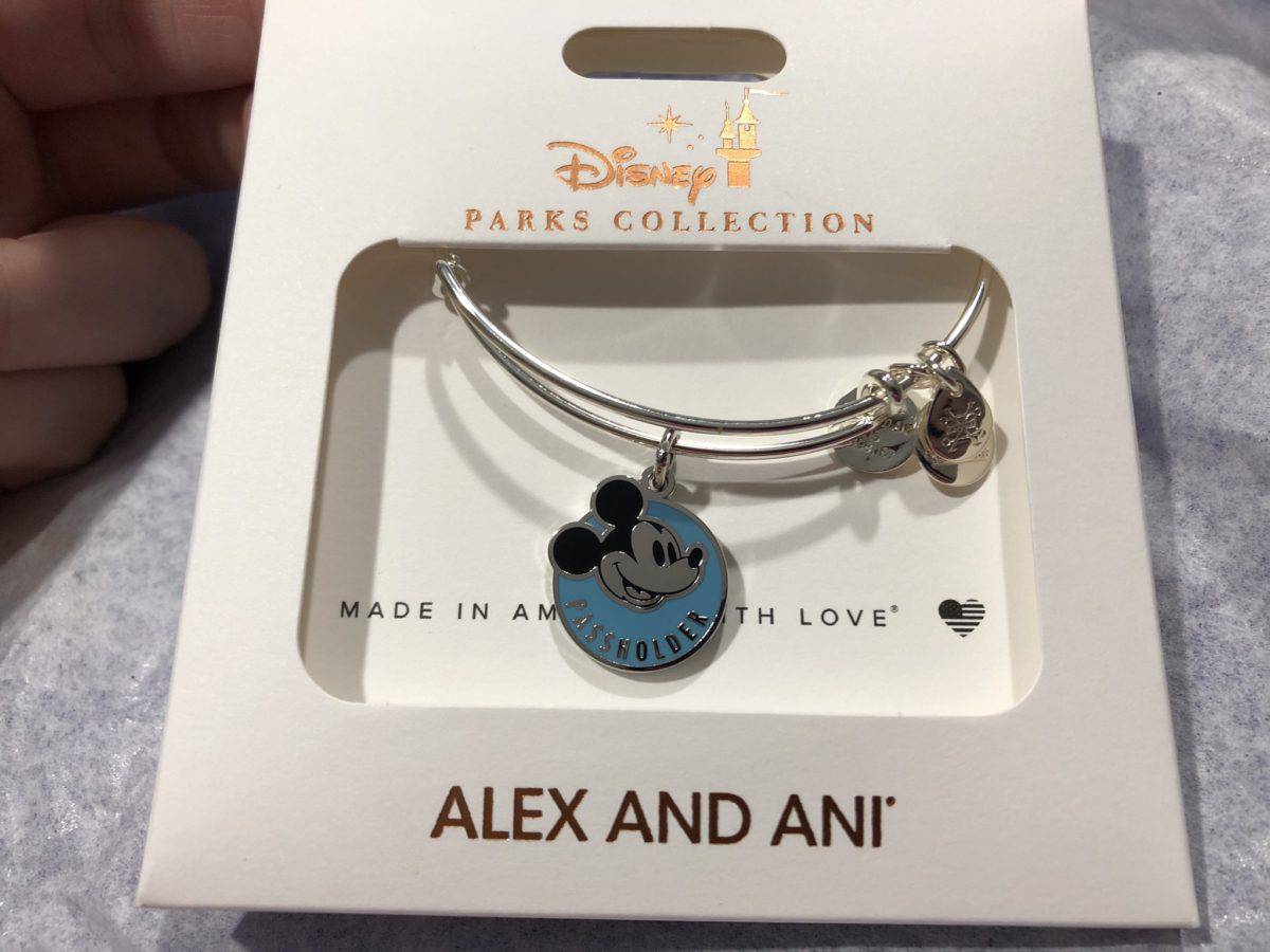 Alex and Ani Annual passholder bracelet
