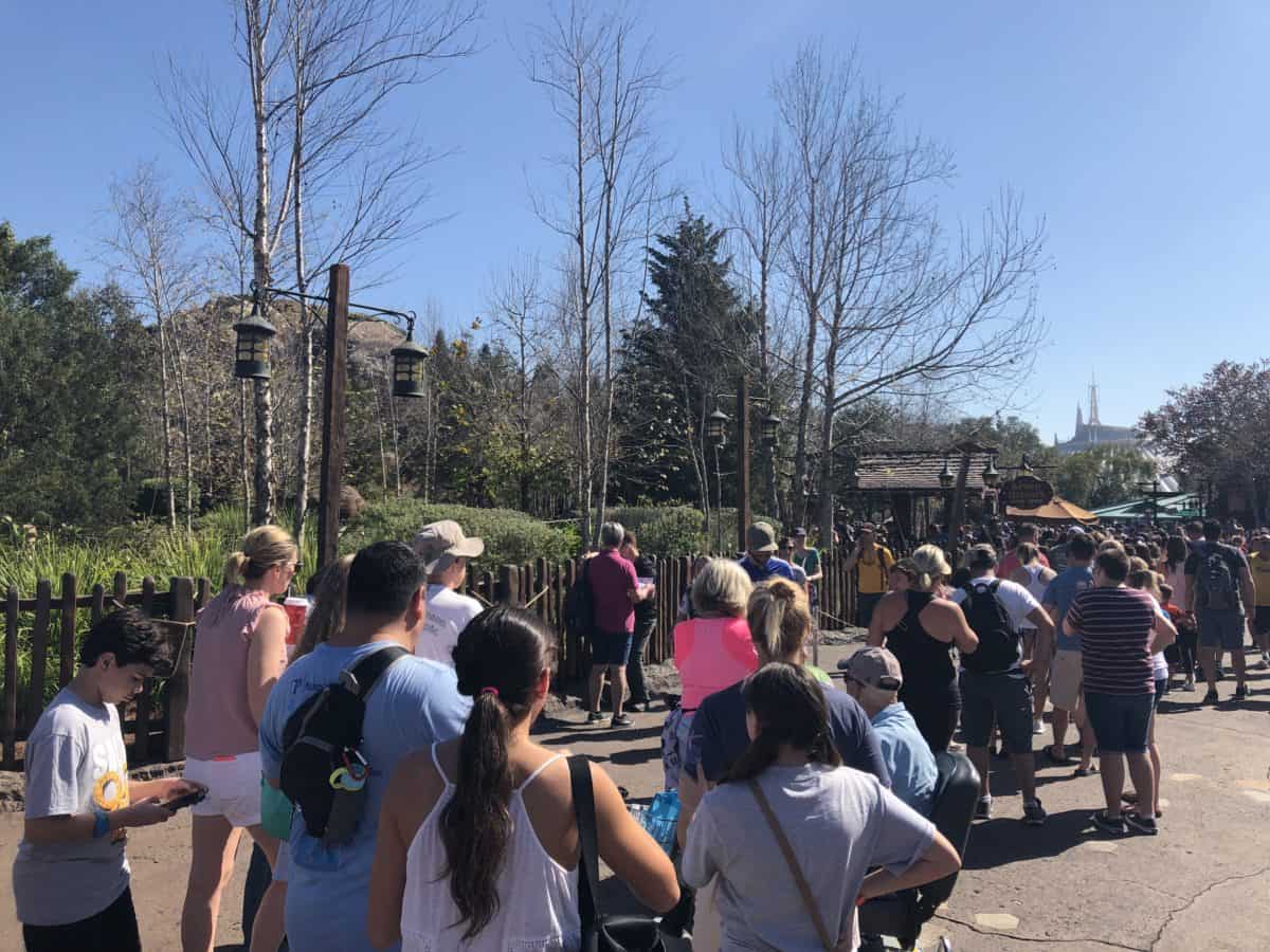 Fantasyland crowds
