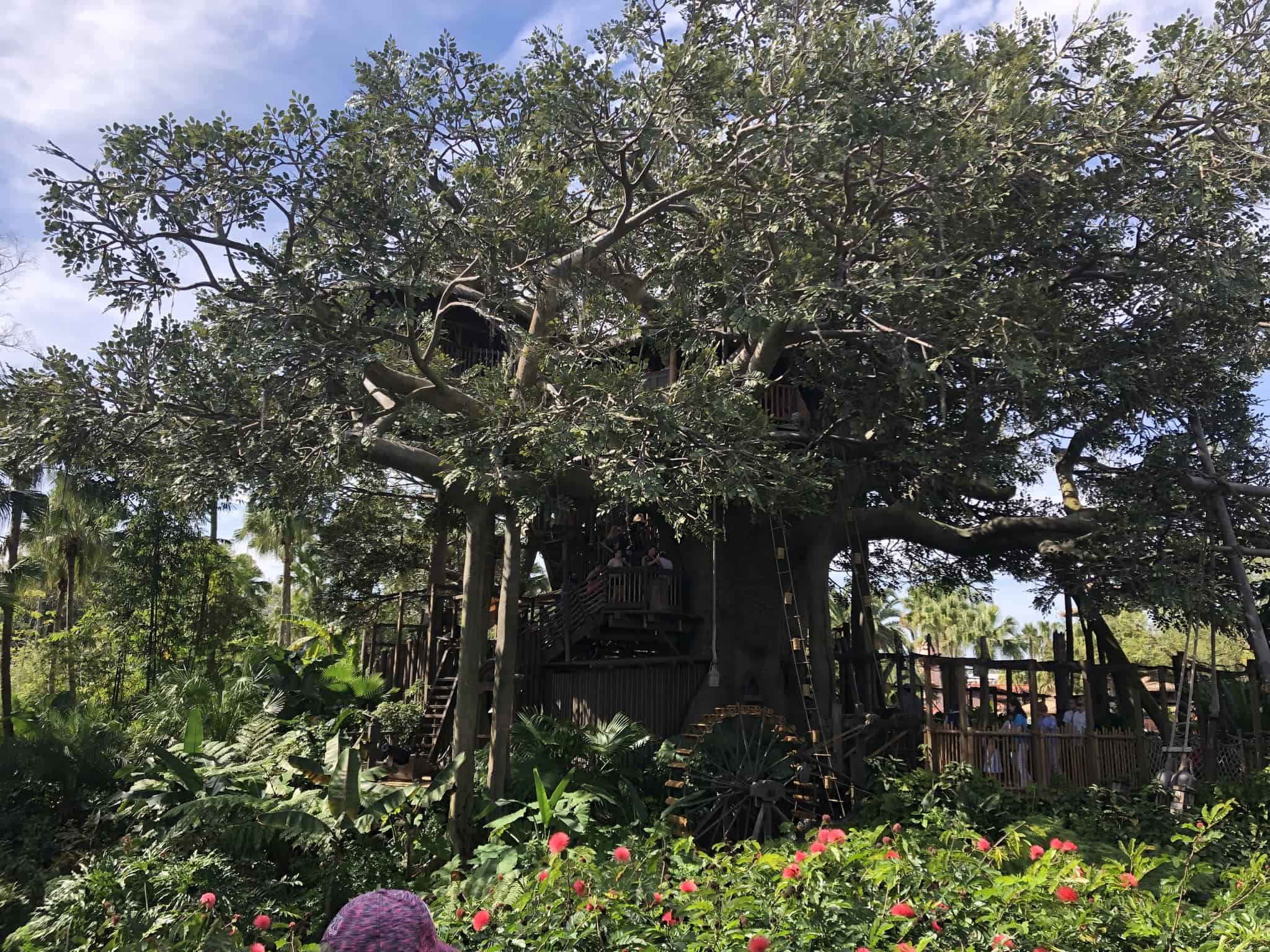 Swiss family tree house