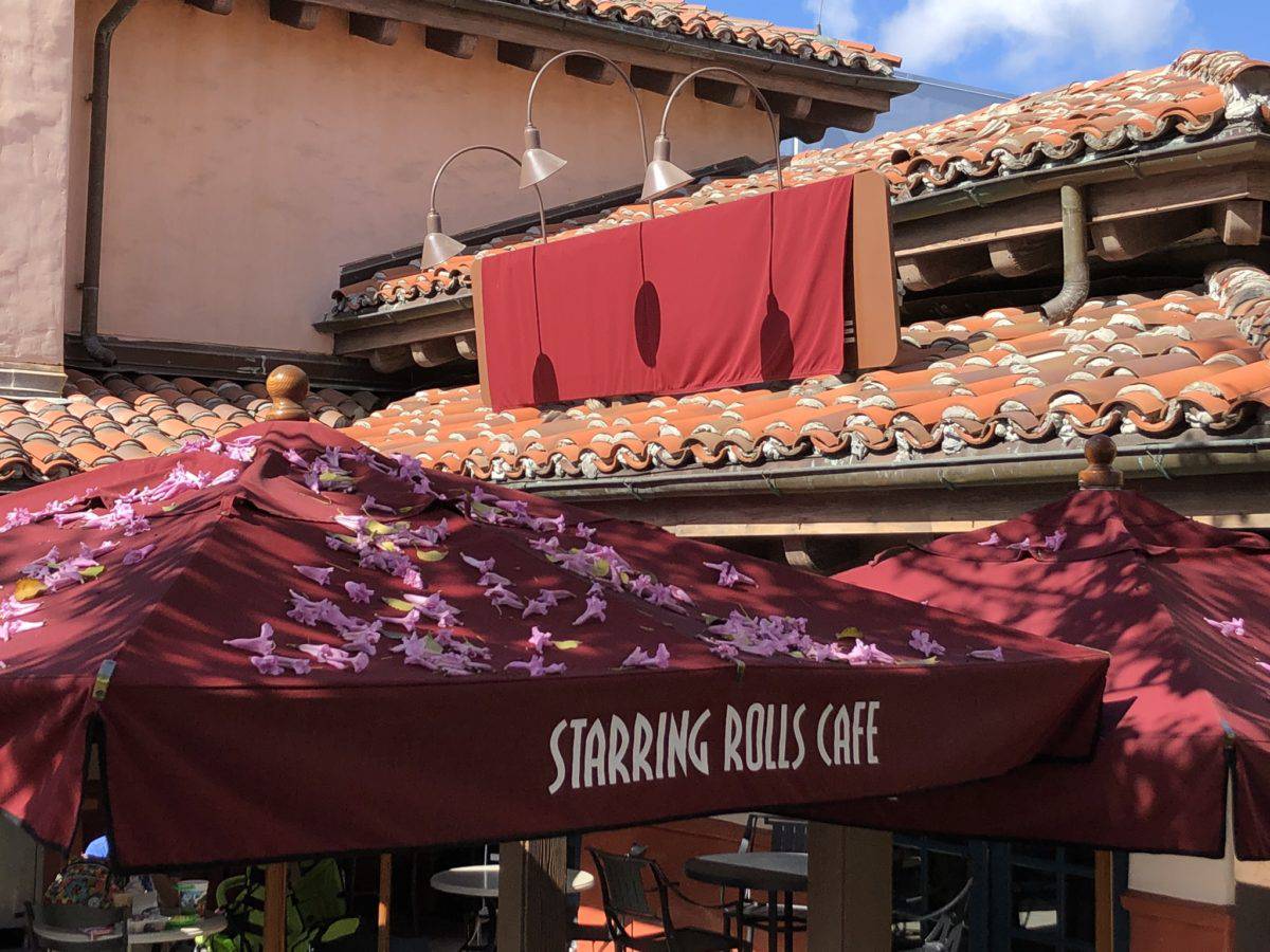 photo report Disney's hollywood studios skyliner bus loop construction sunset boulevard disney parks walt disney world