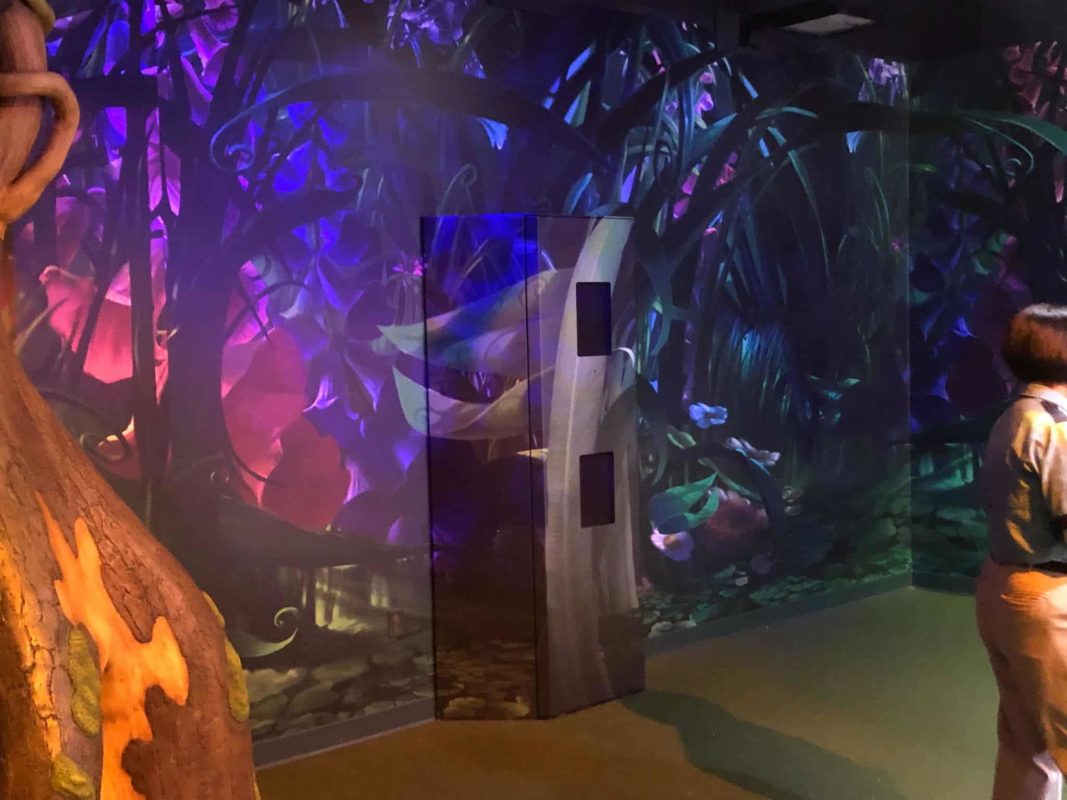 automated photopass box town square theater