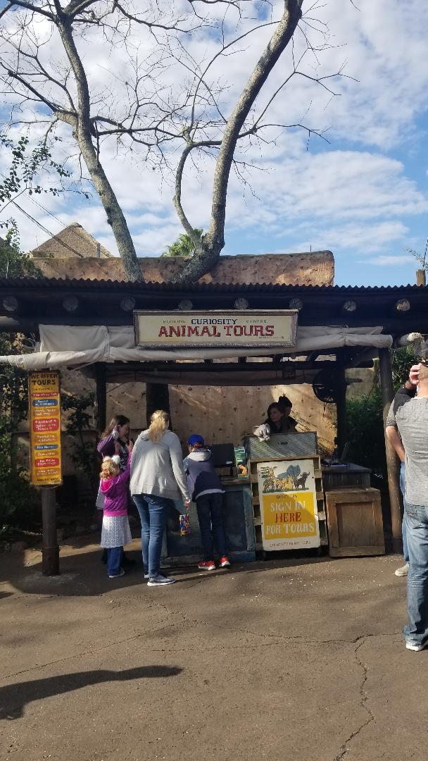 REVIEW Caring for Giants Tour Disney's Animal Kingdom