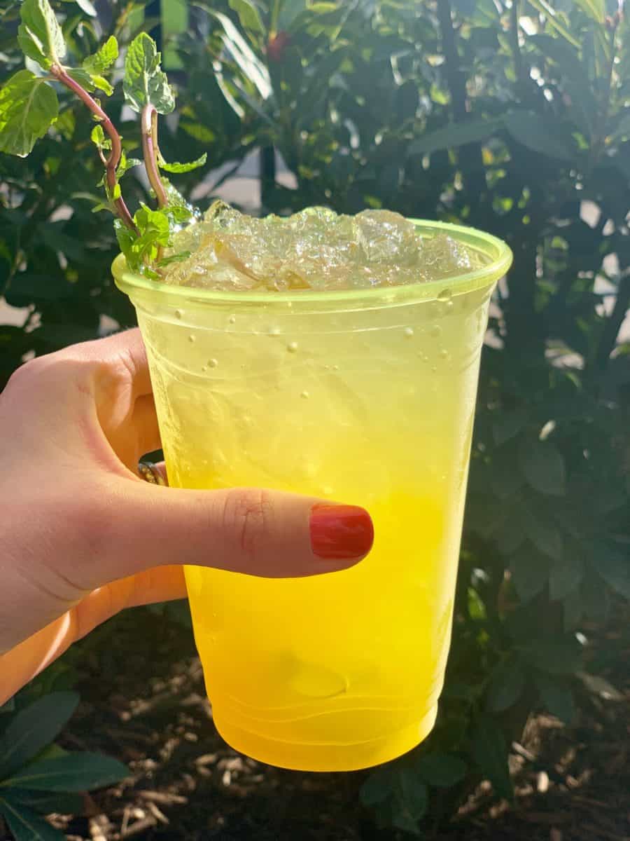 avocado time DCA Food and Wine Festival 2019