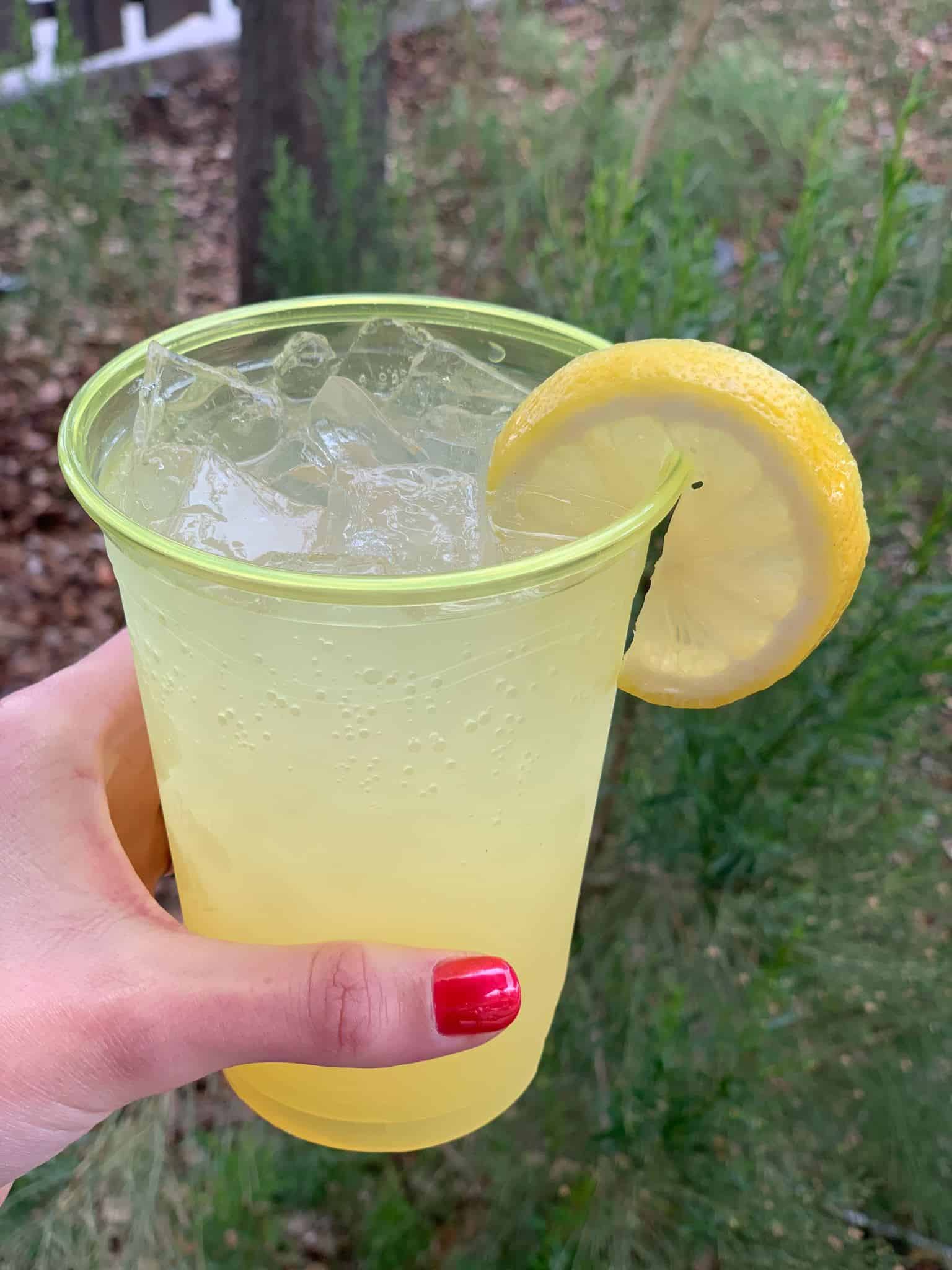 citrus grove food and wine disney california adventure