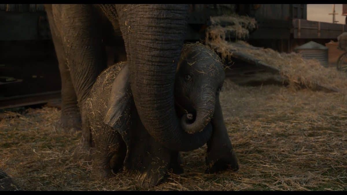 dumbo international trailer tim burton disney