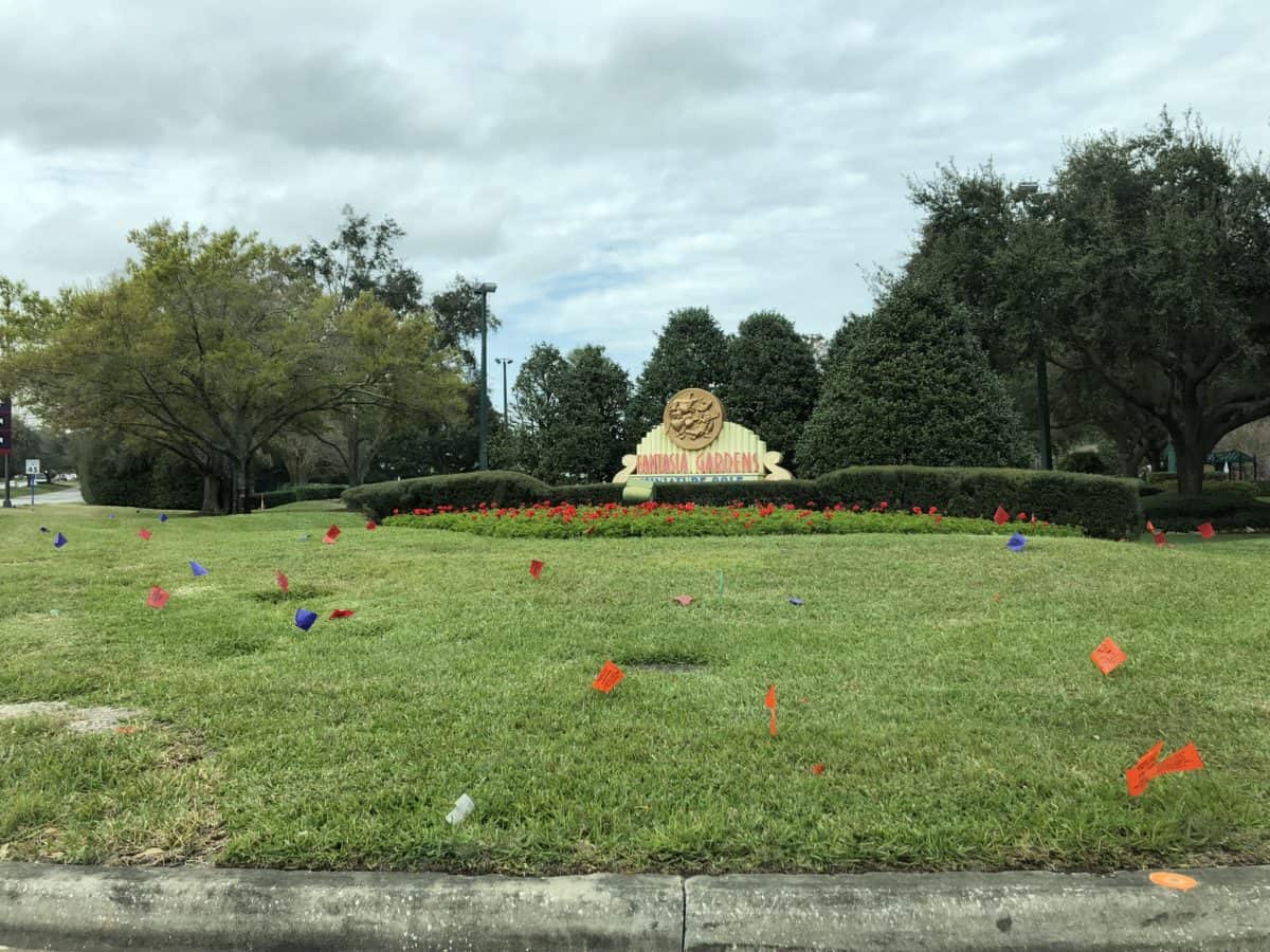 Construction Swan and Dolphin Hotel The Cove Fantasia Gardens