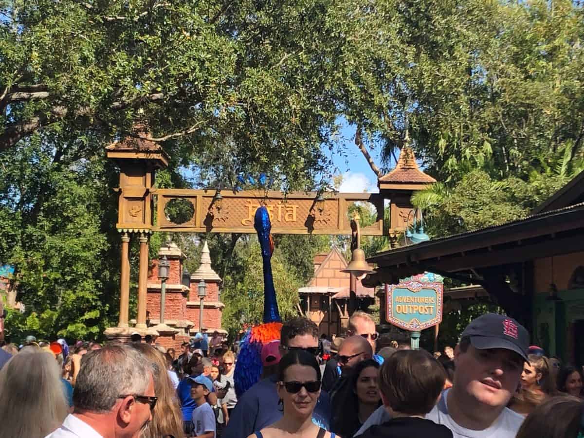 kevin up discovery island animal kingdom