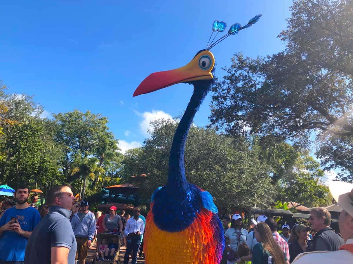 kevin up discovery island animal kingdom