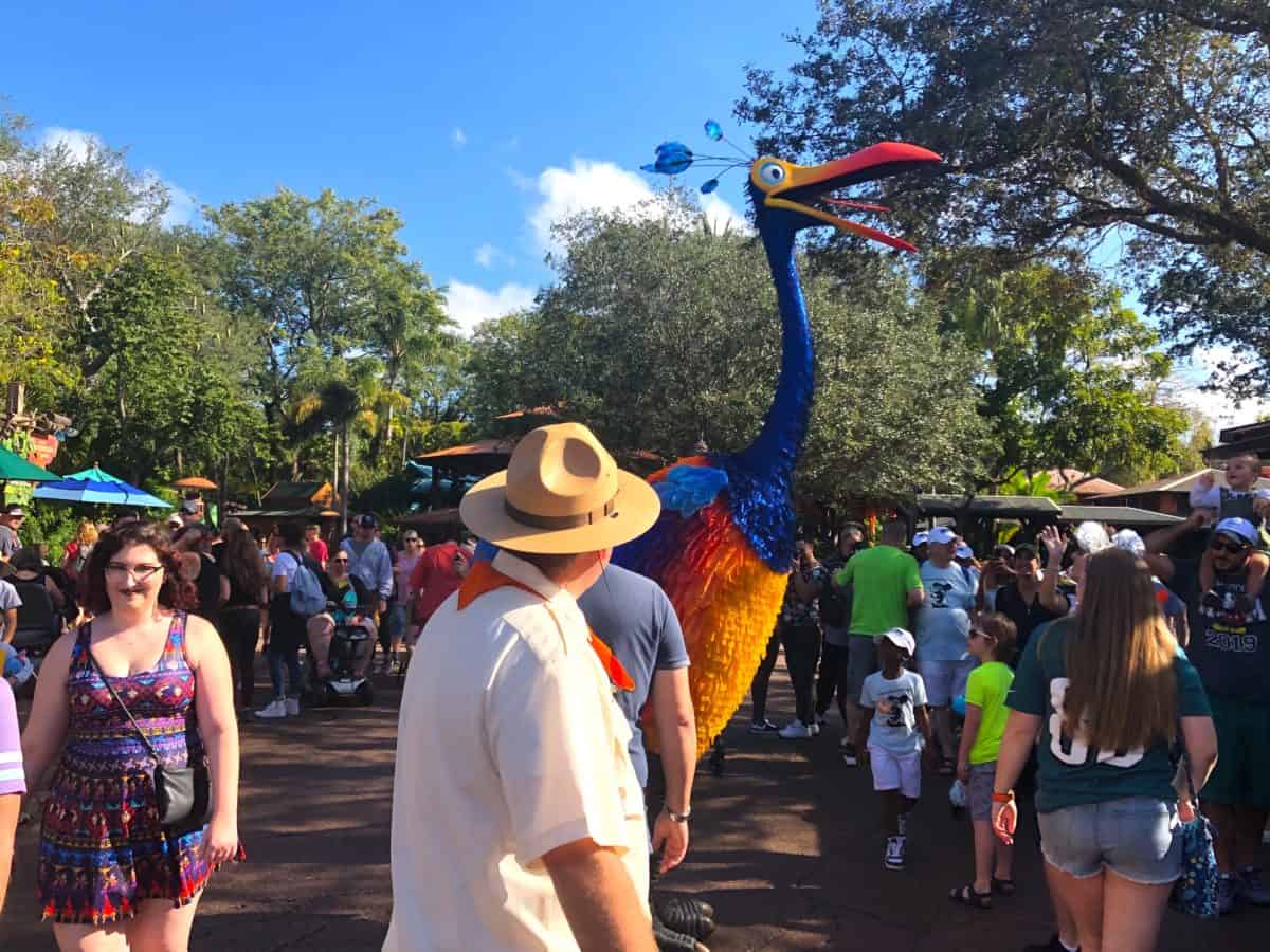 kevin up discovery island animal kingdom