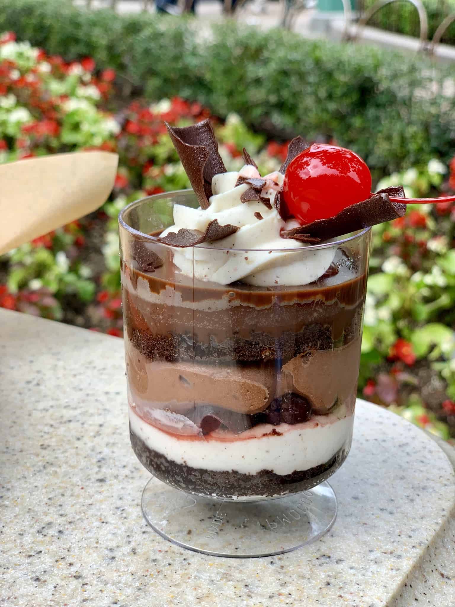 paradise garden grill dca food anad wine festival 2019