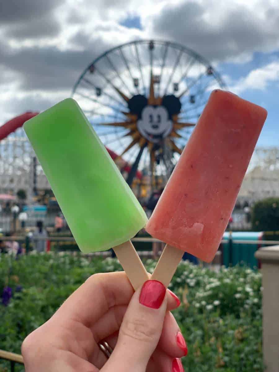 veggie veggie fruit fruit food and wine disney california adventure