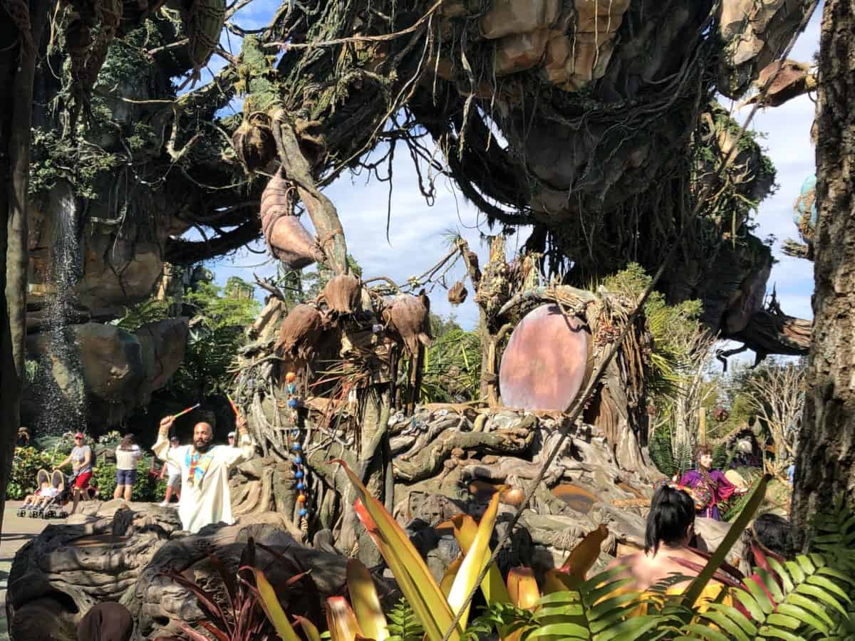 Animal kingdom
