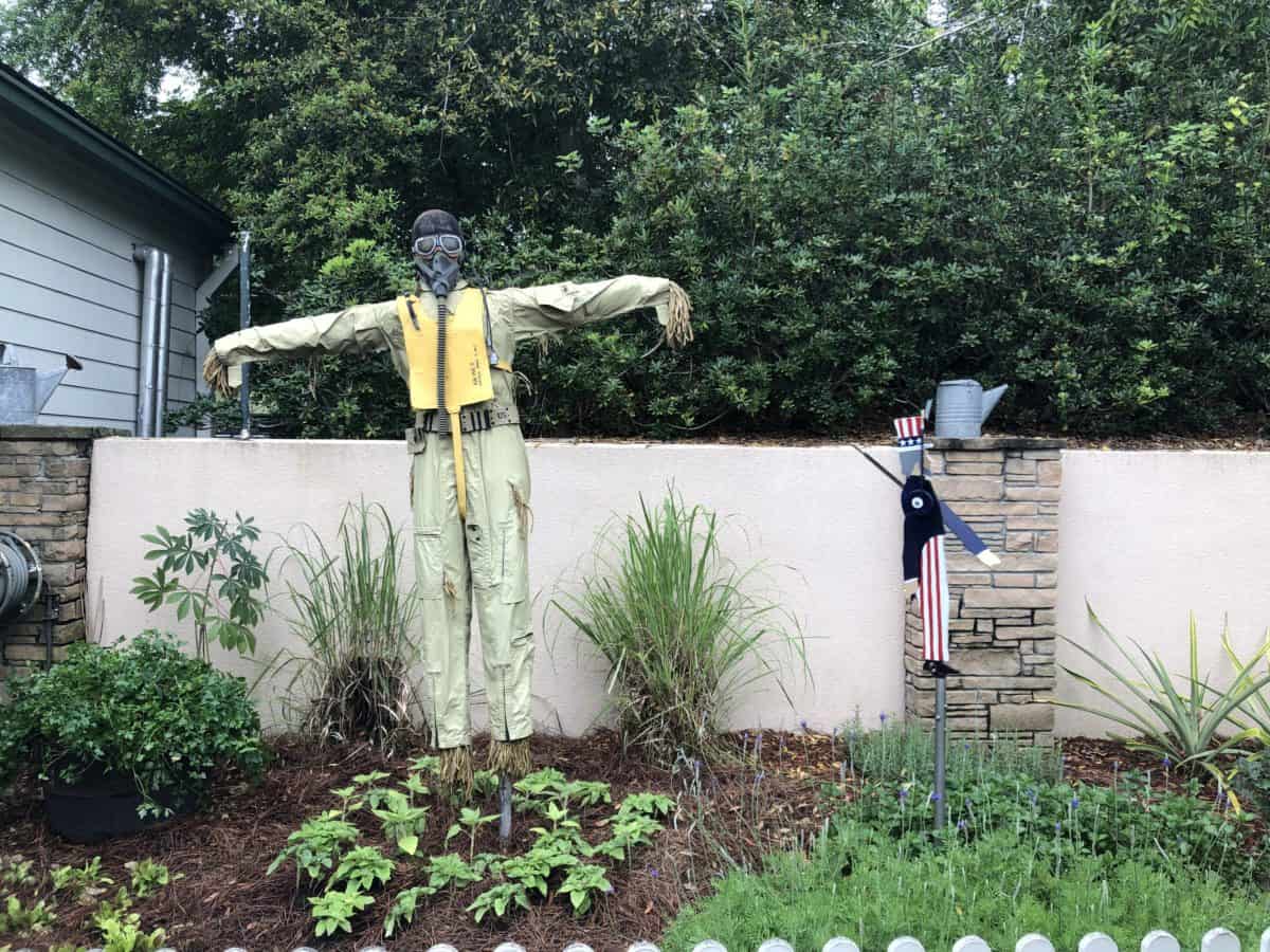 Hollywood studios scarecrow 