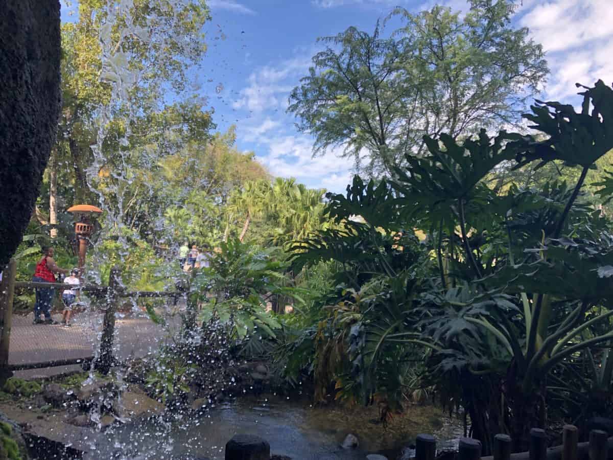 Animal kingdom