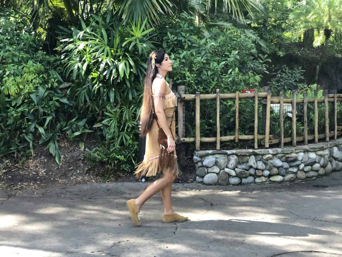Animal kingdom