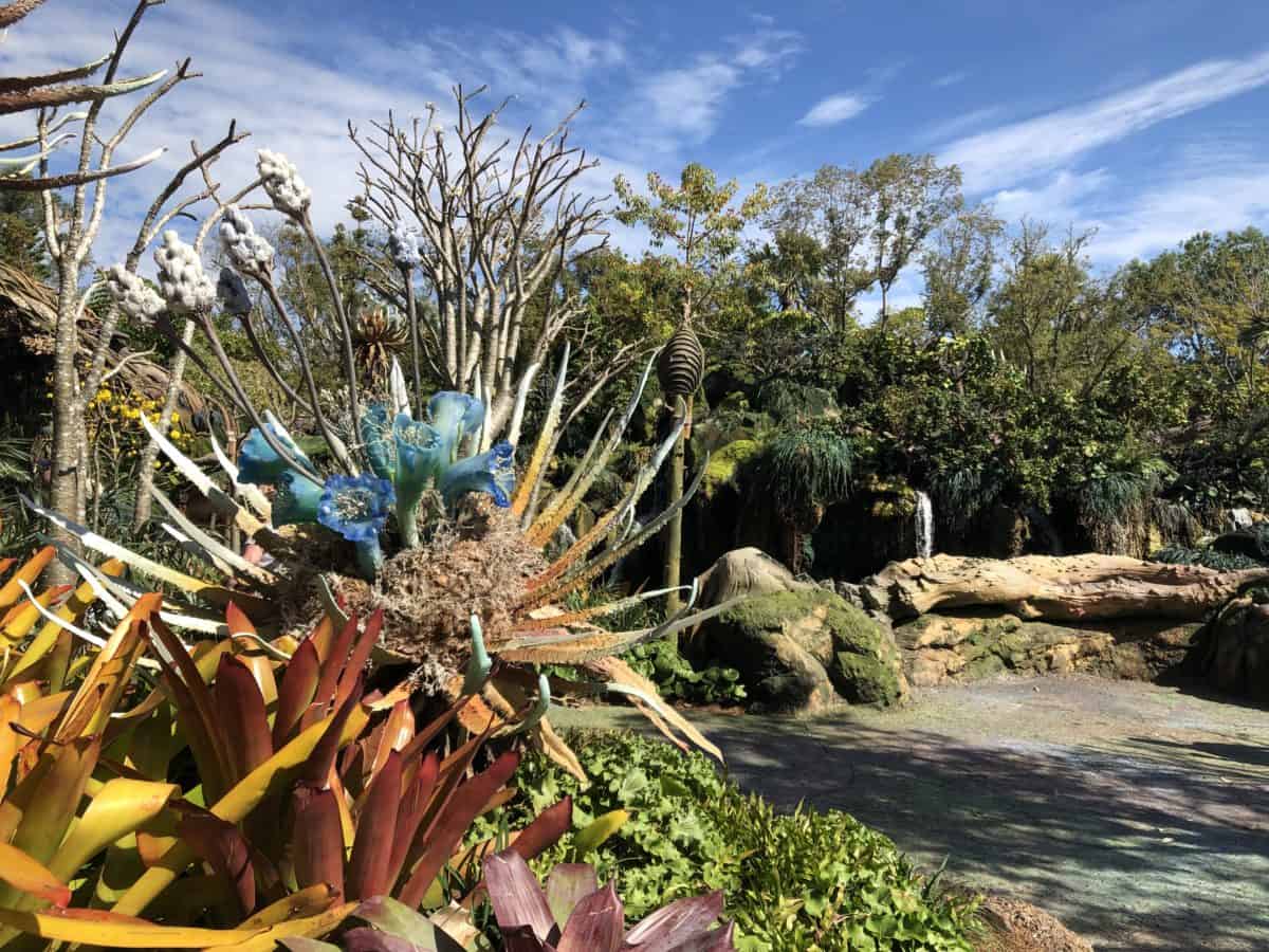 Animal kingdom