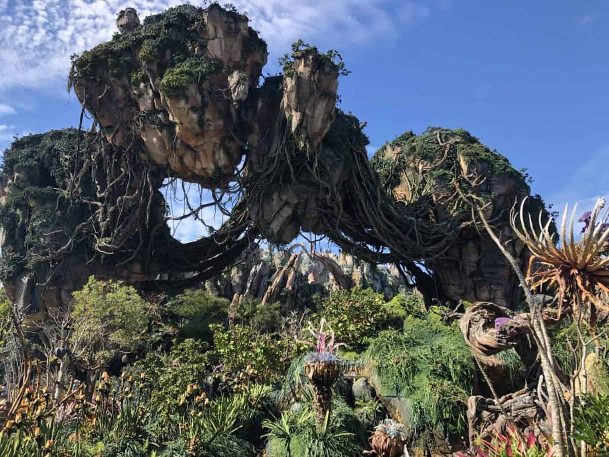 Animal kingdom