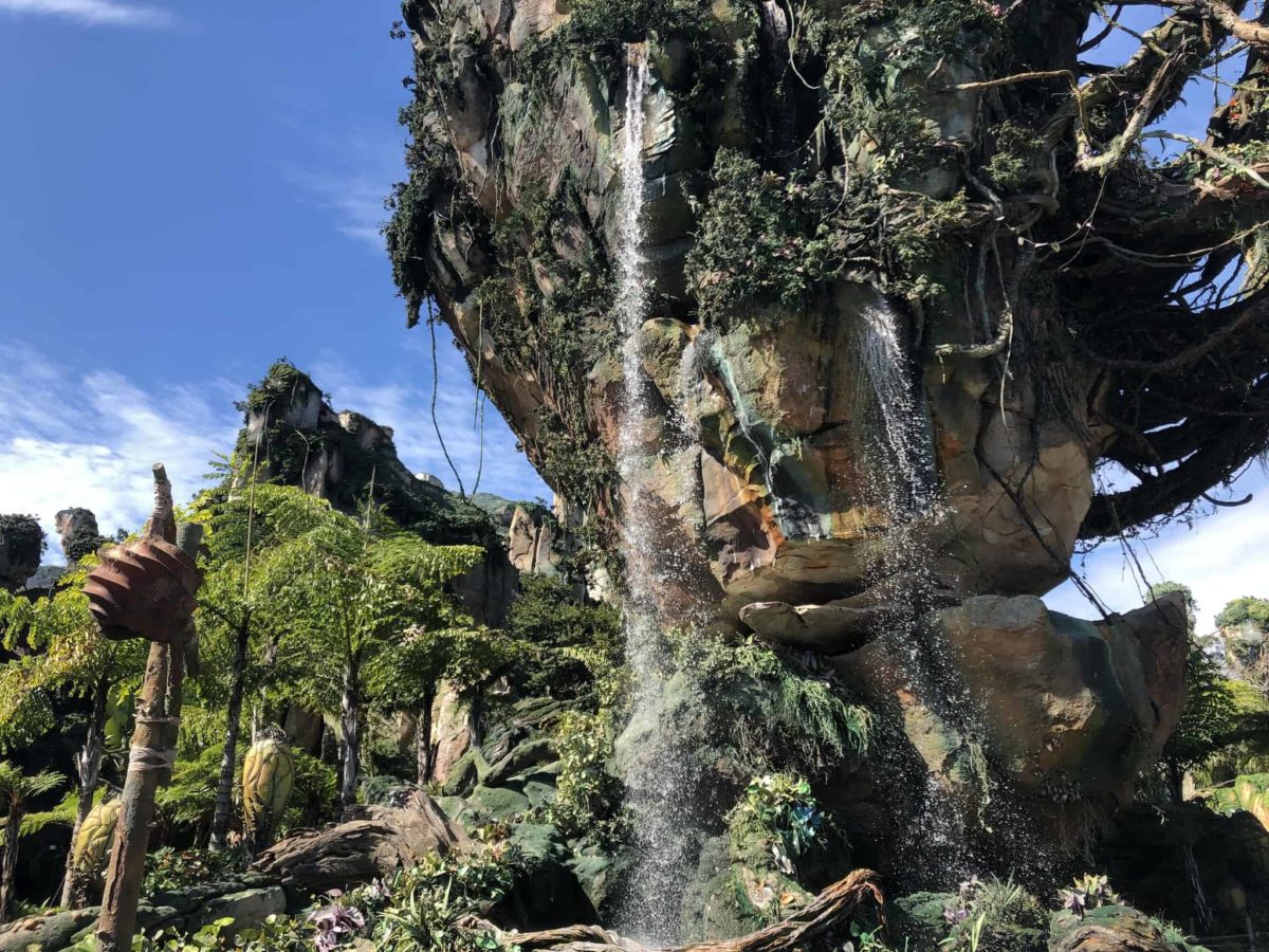 Animal kingdom