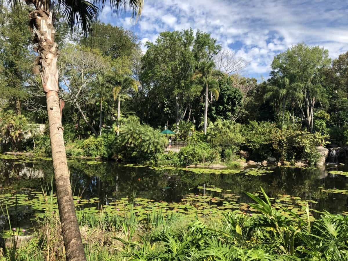 Animal kingdom