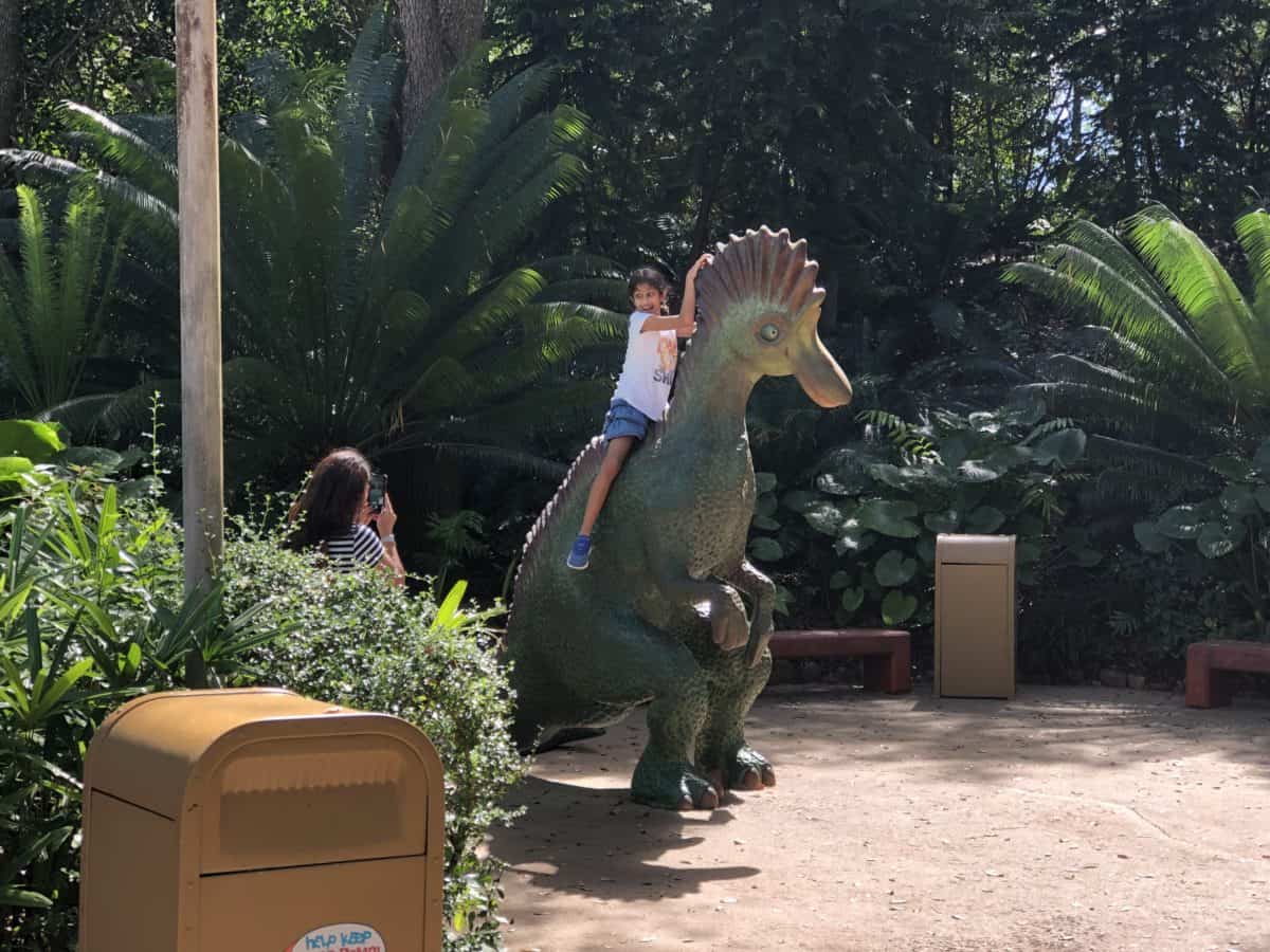 Dinosaur 