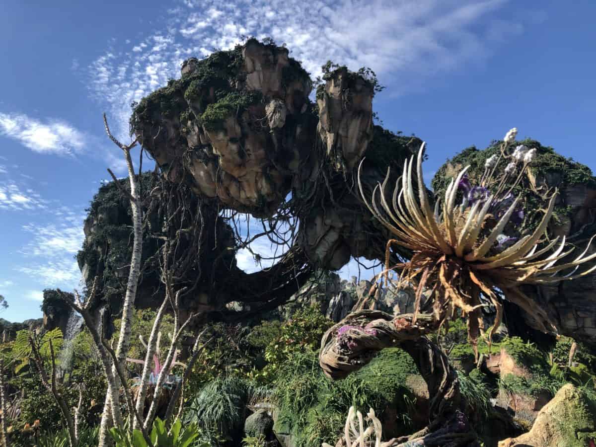 Animal kingdom