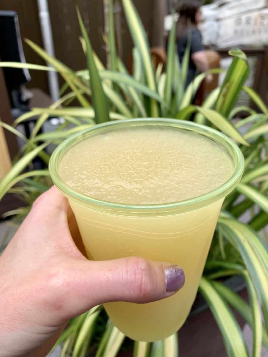 Cinnamon Whisky and Frozen Lemonade Cocktail DCA Food and WIne Festival 2019