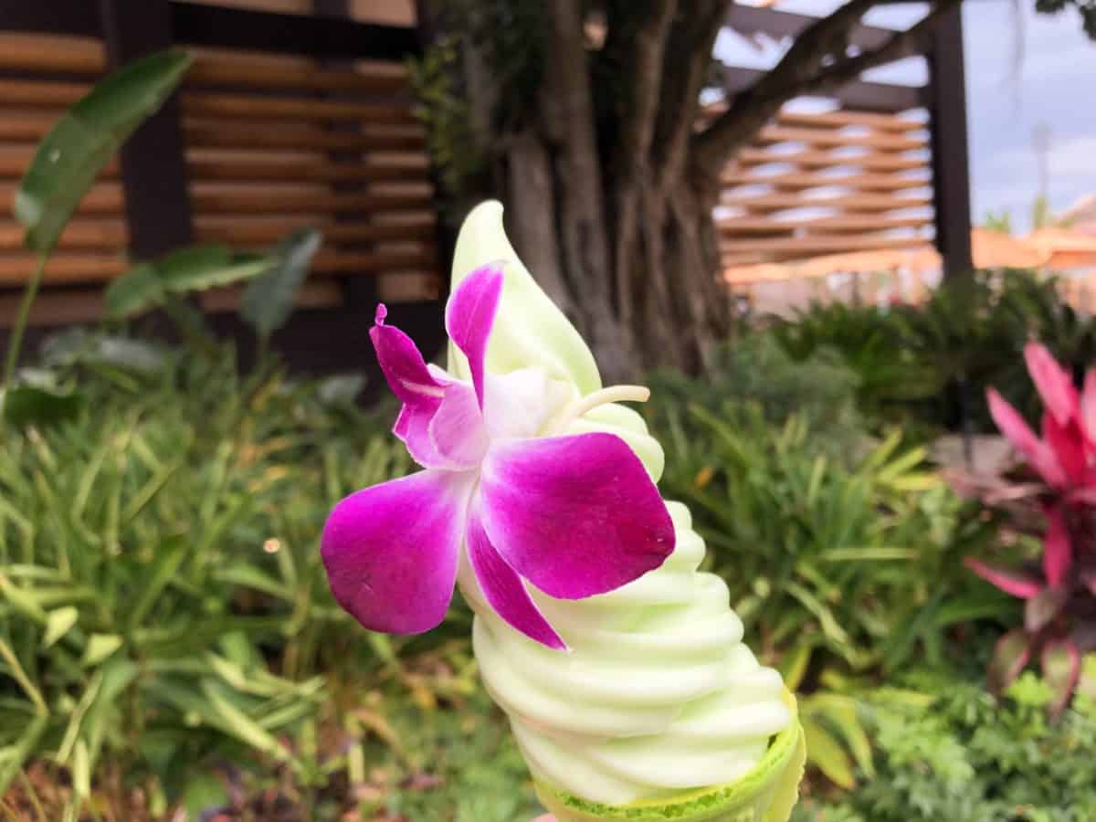 Heart of Te Fiti Cone