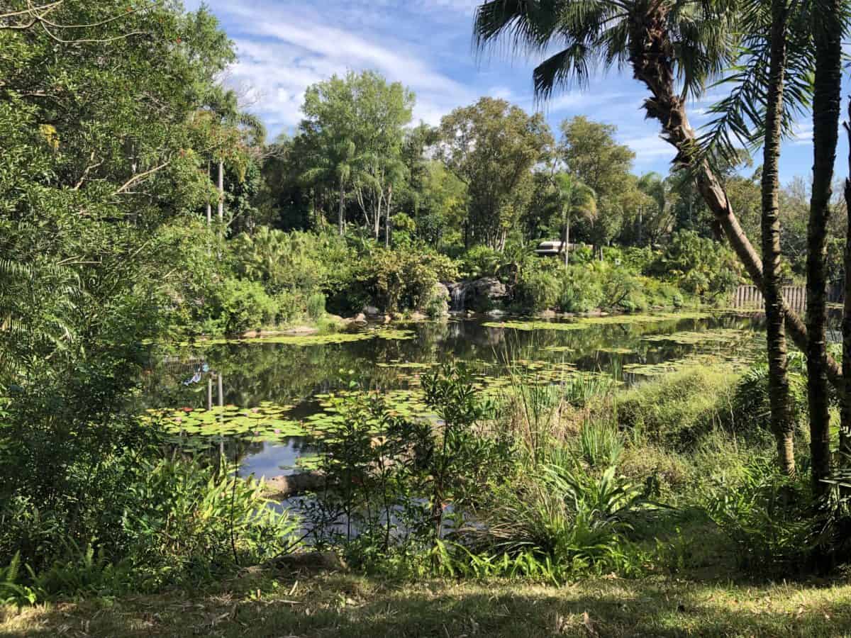 Animal kingdom