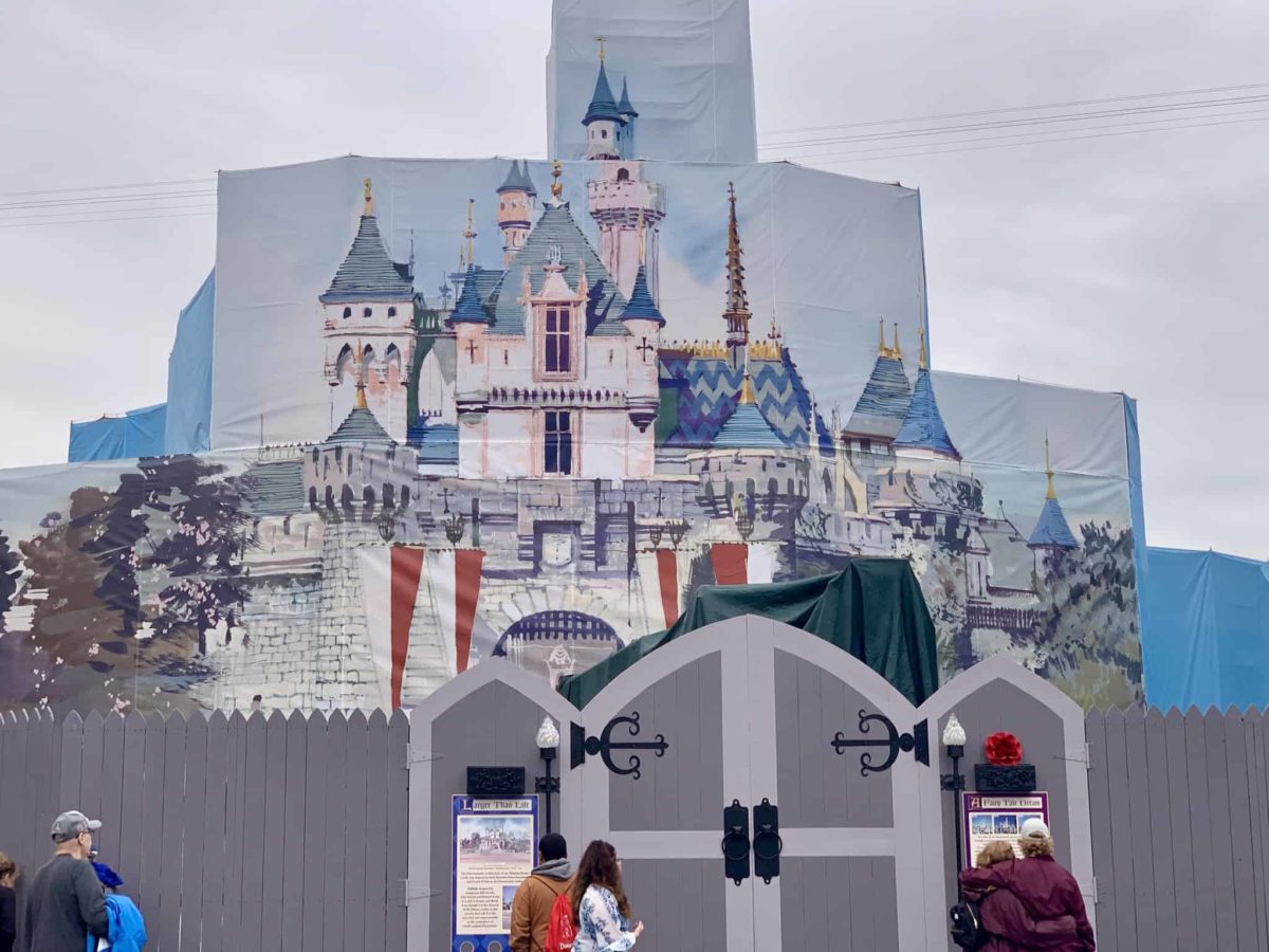 Disneyland Resort Photo Report March 6 2019