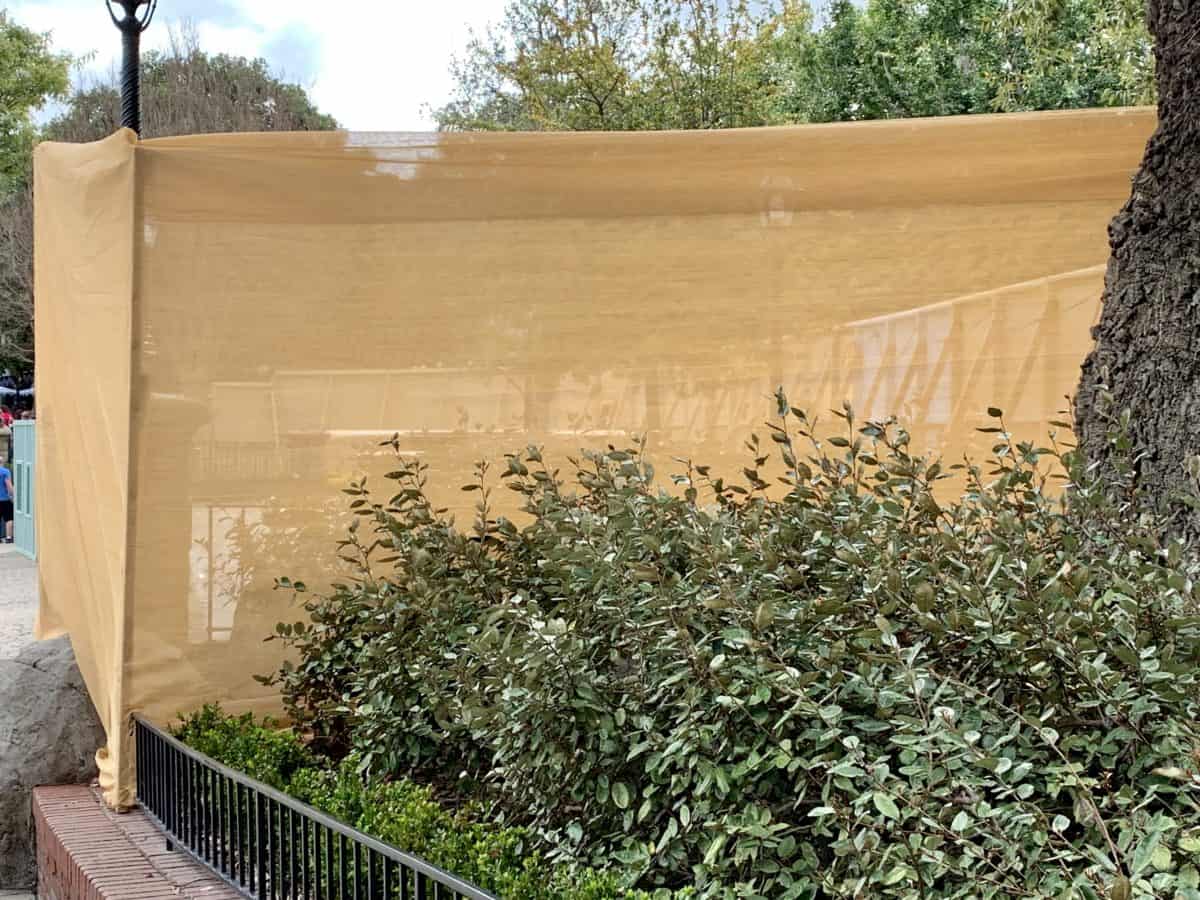 Disneyland Resort Photo Report March 6 2019 