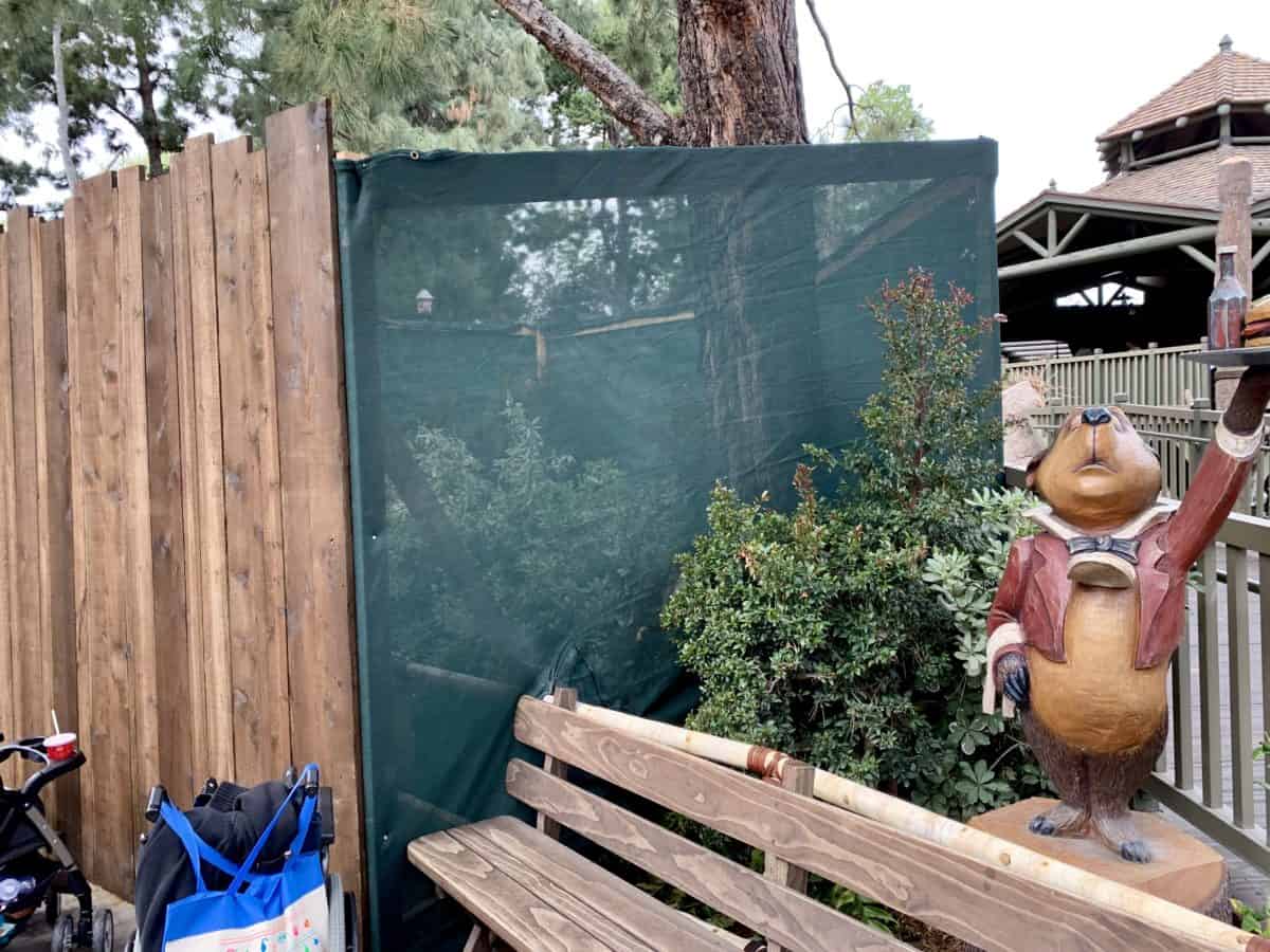 Disneyland Resort Photo Report March 6 2019 