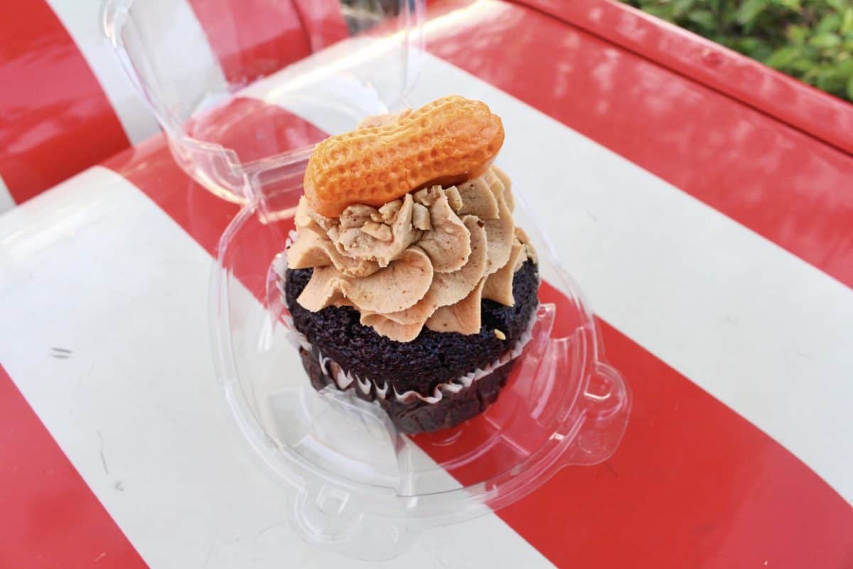 big top souvenirs dumbo