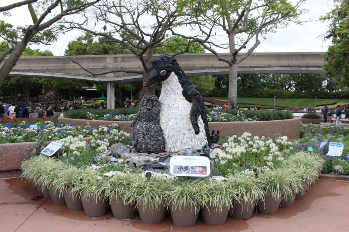 Epcot Disney Nature Penguins