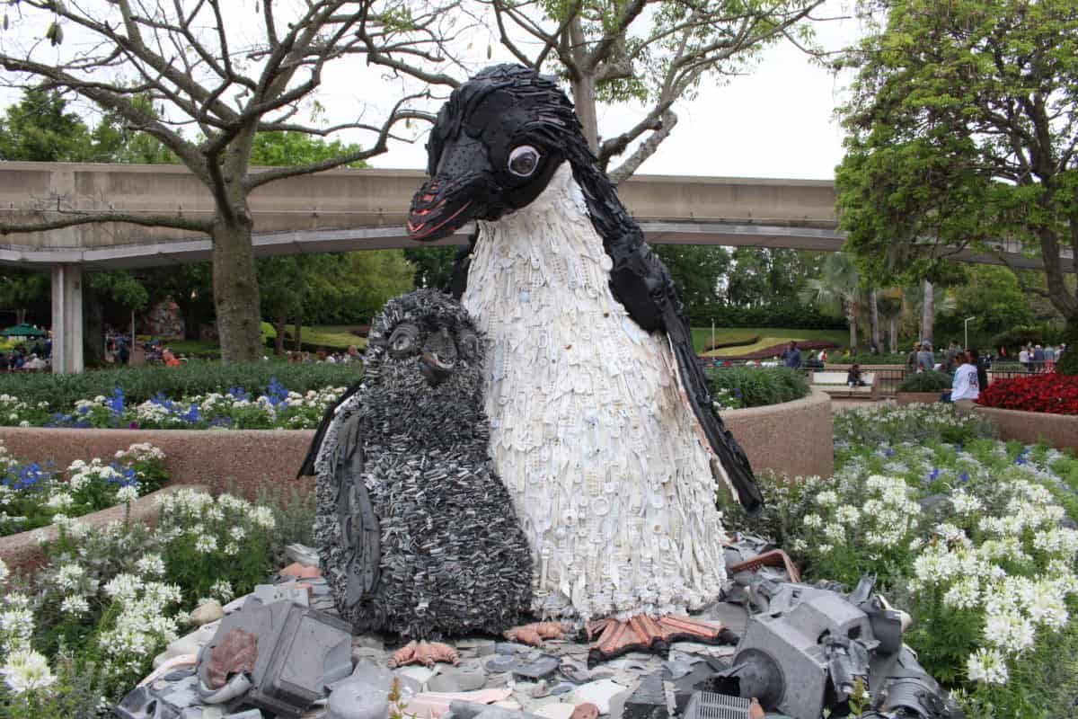 Epcot Disney Nature penguins