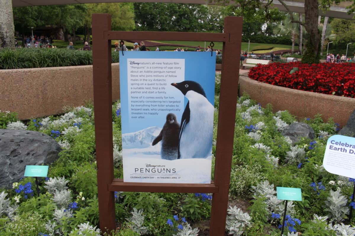 Epcot Disney Nature penguins