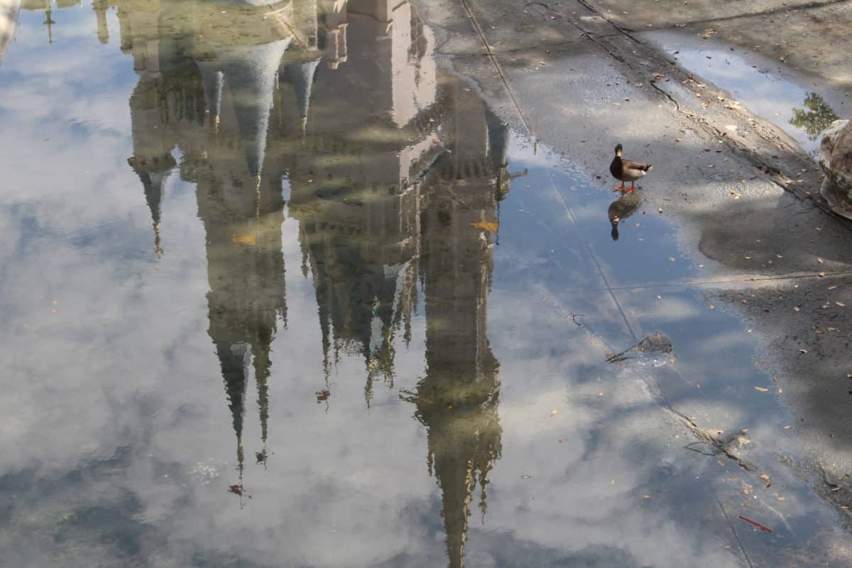 Cinderella Castle moat draining