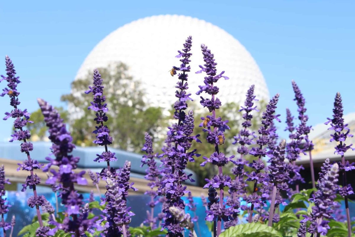 spaceship earth Epcot