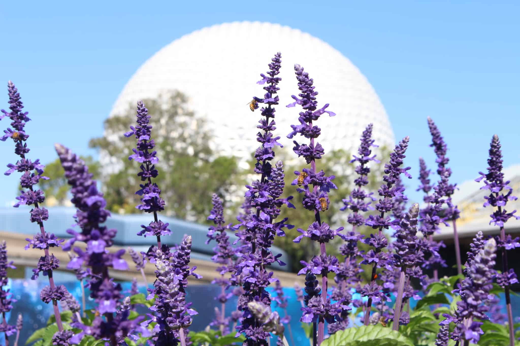 spaceship earth Epcot