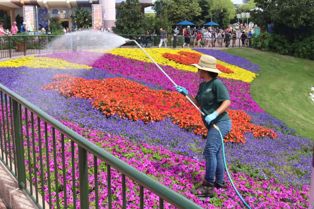 flower and garden festival