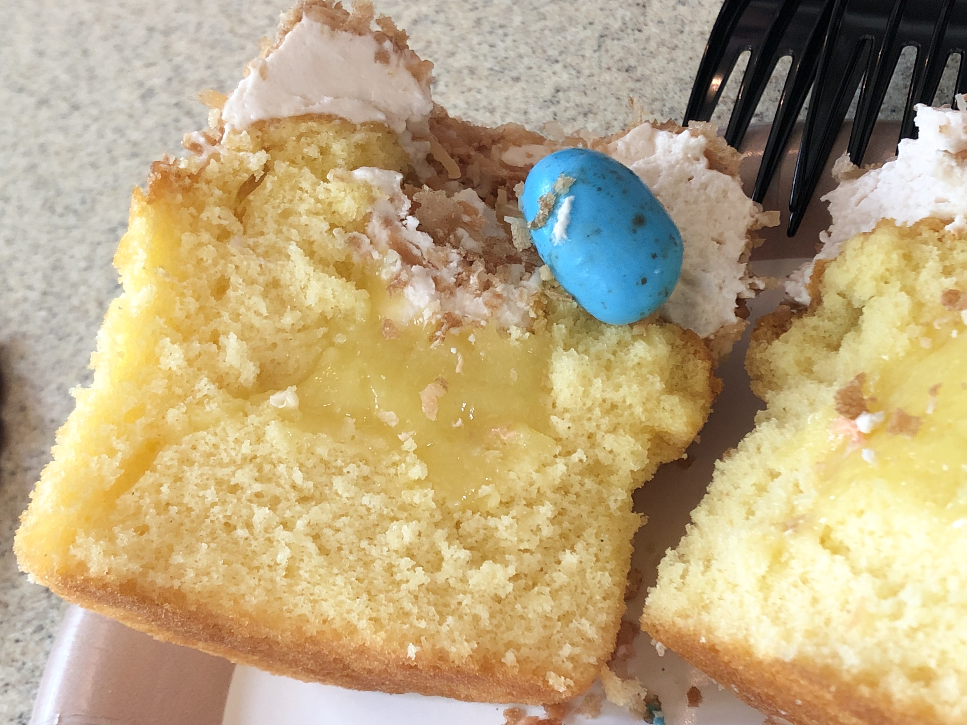 Easter Cupcake animal kingdom