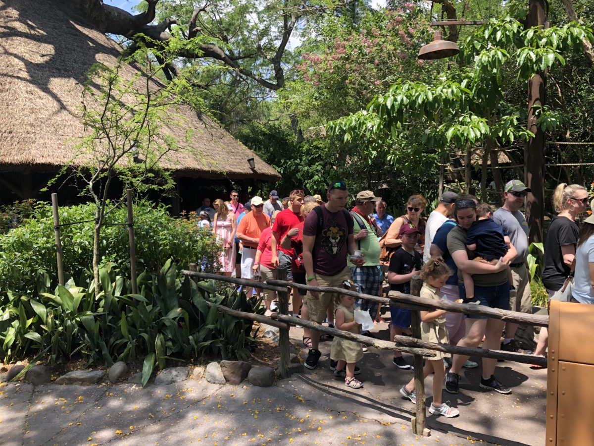 Spring break crowds DAK