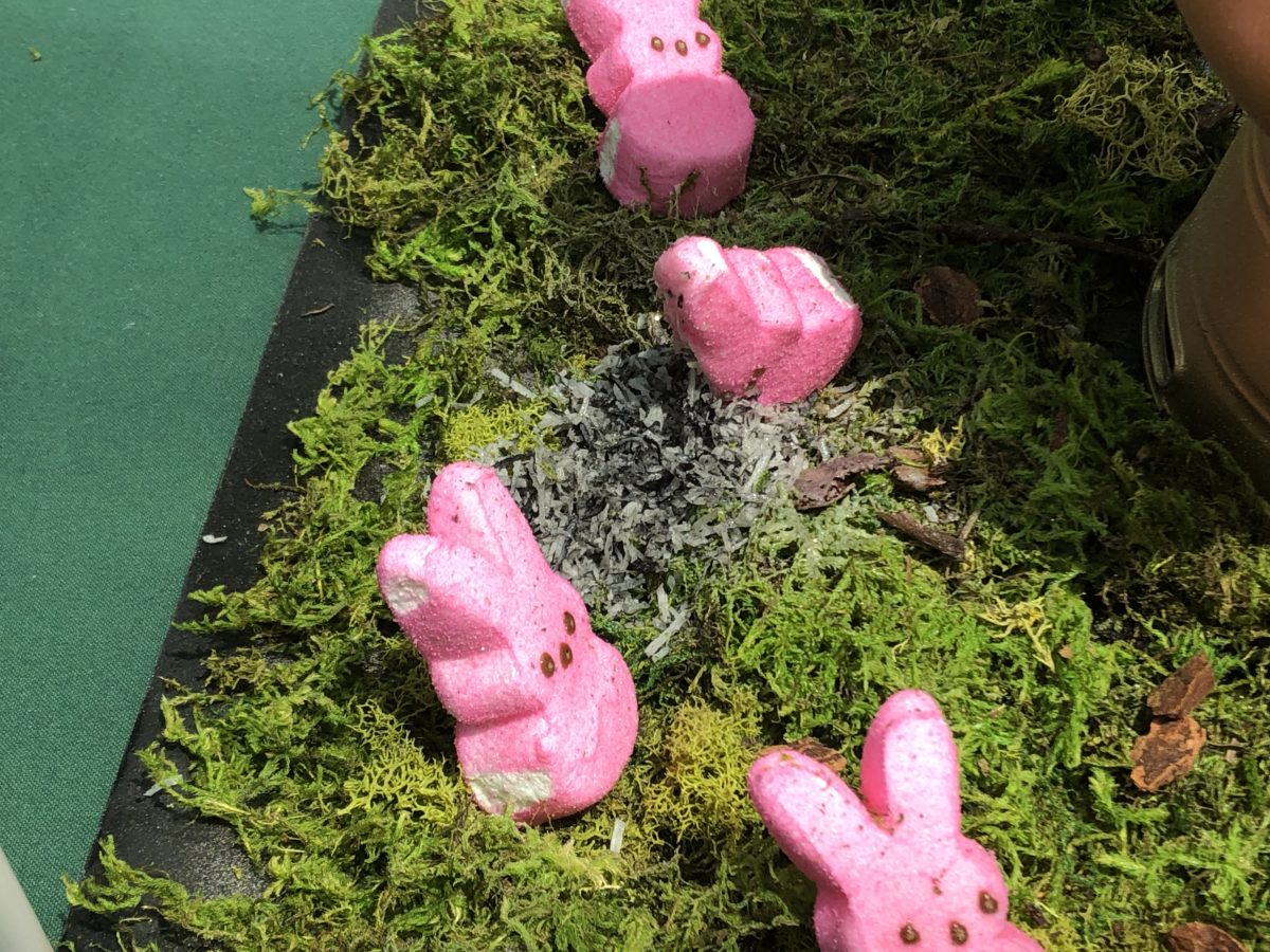 All Star Movies Easter Eggs