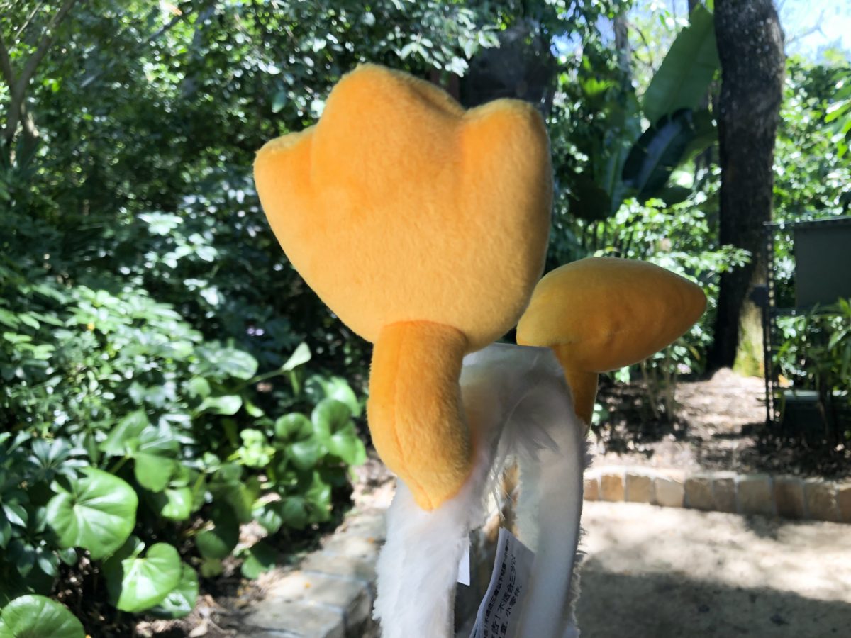 Duck Butt Ears
