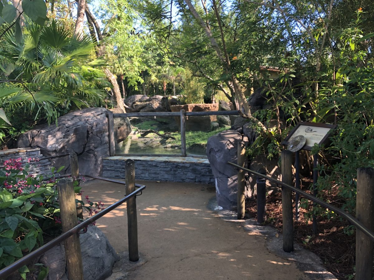Otter Grotto