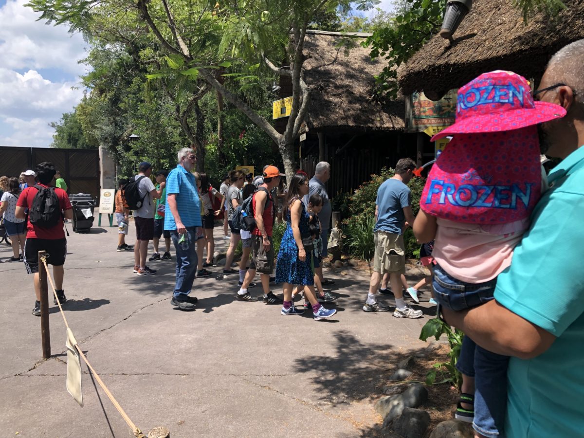 Spring break crowds DAK