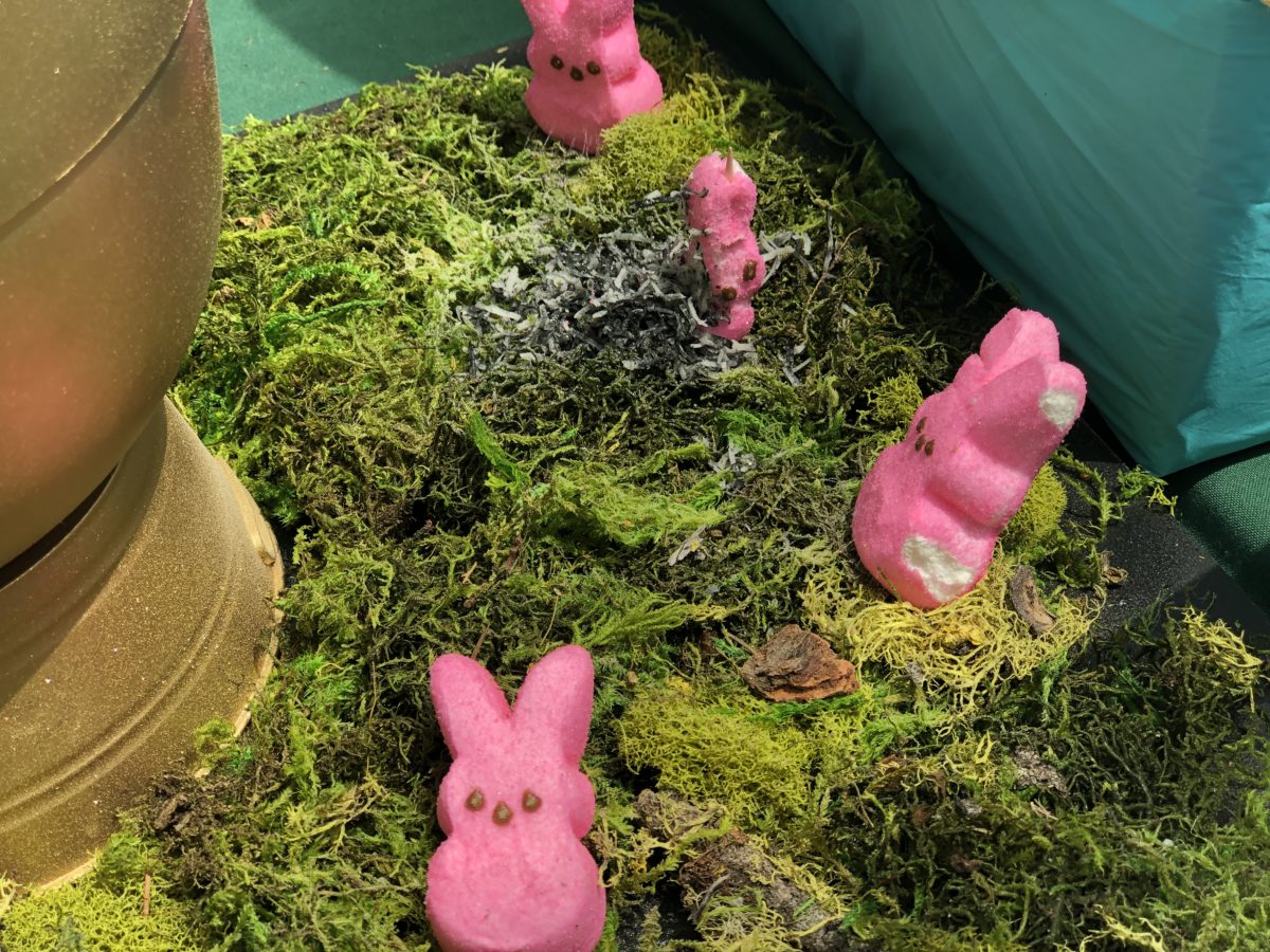 All Star Movies Easter Eggs
