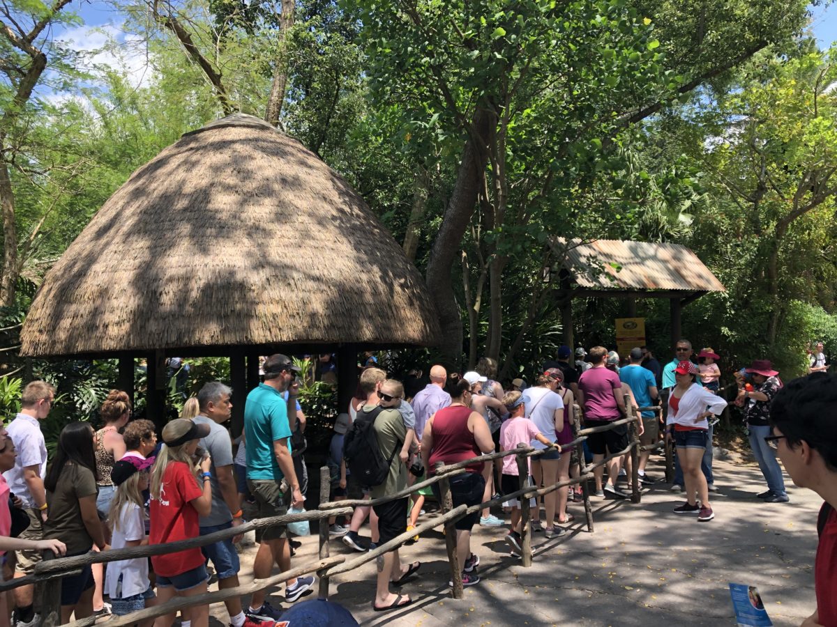 Spring break crowds DAK