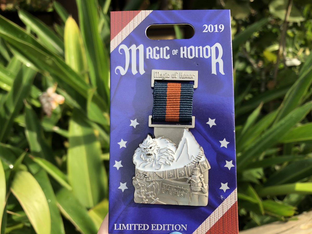 Expedition Everest pin